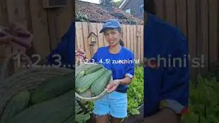 bountiful harvest! #moestuin #garden #growyourownfood #filipino #dutch #shorts
