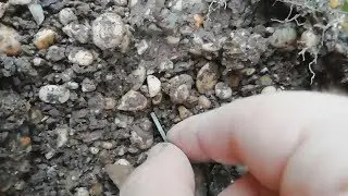 SOME FINDINGS UNDER THE STONES METAL DETECTING