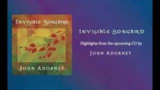 INVISIBLE SONGBIRD Samples