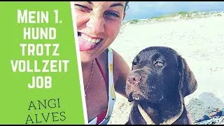 Mein erster Hund trotz Vollzeitjob