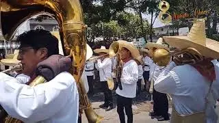 Las güilotas y el zopilote mojado - Banda Brígido Santamaría en Sta María Aztahuacan