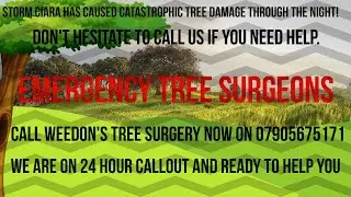 Storm Ciara Tree Damage In Nottingham - Emergency Tree Removal