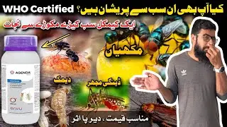 Pest Control Chemical | No Side Effects | Safe for Homes, Hospitals & Kitchens