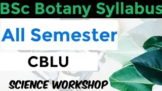 BSc Botany Syllabus : All semester || CBLU || Science Workshop || Kusum