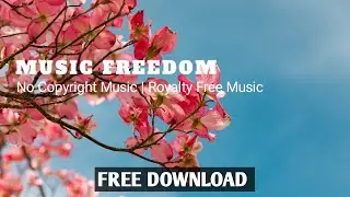 No copyright traditional chinese music | chinese background music no copyright instrumental music