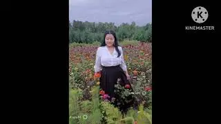 Suab nkauj nco qub teb chws.2026.