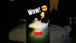 🎣Little Fishing Rod Vs GIANT FISH 🐳 at NIGHT! 😱 MONSTER ALERT ‼️ #fishing #carpfishing #bigfish