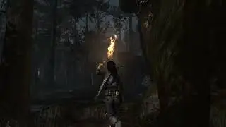 Tomb Raider: Definitive Edition p8
