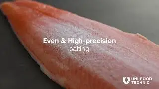 Dry Salting & Spice Applicator | Salting of salmon fillets | Uni-Food Technic