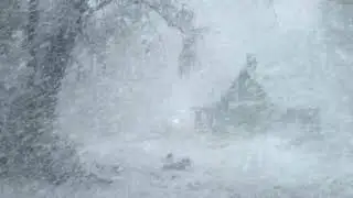 Heavy Blizzard Snowstorm | Intense Howling Wind & Snow Blowing | Sleep Sounds for Reduce Stress