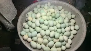 Popular Boiled Egg Delicious Siddo Dim -Tasty Pani Puri ! Extreme Eggs peel Skills ! Bd Street Food