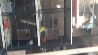 Over View Of Love Bird Shed