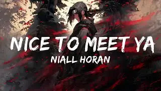 Niall Horan - Nice To Meet Ya (Lyrics)  | Top Vibes Music