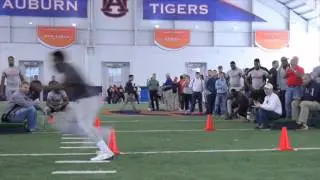 Peyton Barber -- Auburn Pro Day highlights
