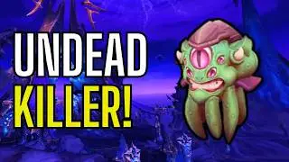 Rhay'Dahr Guide: The Anti-Undead Beast You Need! (WoW Midnight Pre-patch)