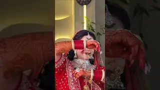 rohit wedding dances party' #rajputvlogsgwl3 #love #trending #wedding #dance#marriage #viralvideo