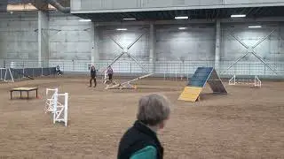 River Novice Standard AKC Agility 3/16/24 1st place Q