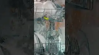 Inside a dishwasher #shorts