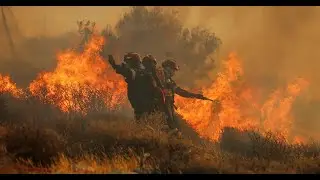 Wildfires on Crete: Thousands Evacuate as Firefighters Battle Uncontrollable Blazes