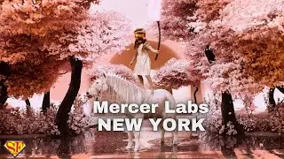 Discover Mercer Labs, New York: Museum of Art and Technology