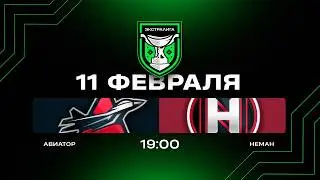 Авиатор - Неман | 11.02.2026 | Экстралига | Прямая трансляция