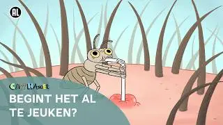 Wat zijn hoofdluizen?🪳