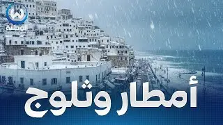 اضطرابات جوية.. ثلوج و أمطار غزيرة على معظم ولايات الوطن غدا الخميس