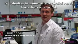 Luuk de Vries - Onderzoek naar de ziekte van Alzheimer