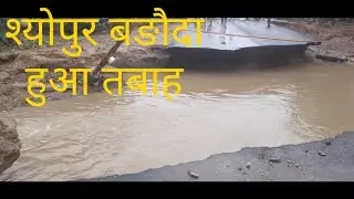 बङौदा में बाढ  भयंकर तबाही श्योपुर mp