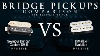 Seymour Duncan CUSTOM SH-5 vs DiMarzio EVOLUTION - Bridge Guitar Pickup Comparison Tone Demo