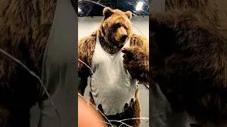 Mirror Selfie Gone Wrong 📸🐻