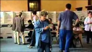 Indigenous recognition to go to the vote