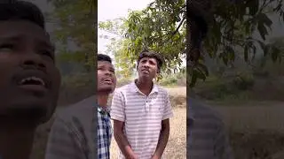Aam 🥭 ke bagiche me langda aam