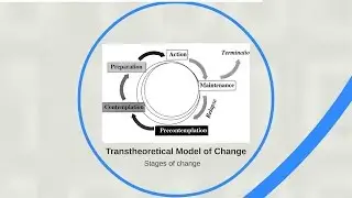 Coaching For Behaviour Change | Sisu Wellness Webinar