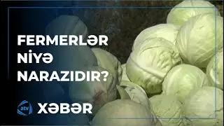 Kələmin qiyməti fermerləri qane etmir