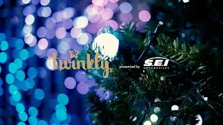 Twinkly PRO ™ | JAPAN SHOP 2022 | ダイジェスト