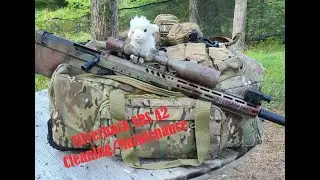 SILVERBACK SRS A2 MAINTENANCE