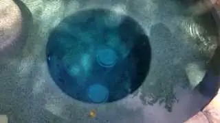 Swimming Pool Repair Options