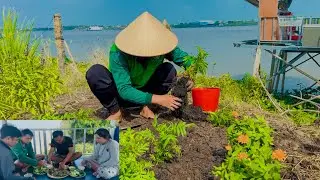 Vợ Chồng Cẩm Trồng Hoa Đón Tết Thưởng Thức Món Ăn Độc Đáo Cá Rô Nướng Muối Ớt # HCCSMT