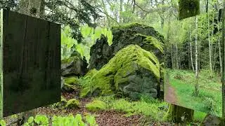 Rando vosgienne Charles du 26/04/25 Grendelbruch
