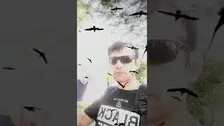 А вас копируют? #shortsvideo #reels #tiktok #shorts #short #trend #top #сегодня #мотивация