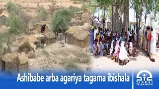 Ashibabe arba agariya tagama ibishala | #Tigrai_tv | #ቴሌቪዥን_ትግራይ