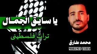 Mohamed Tarek - Ya Sayeq Al-Gamal | محمد طارق - يا سايق الجمال