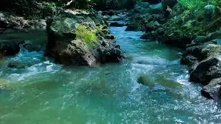 Clear Water Calm: Relaxing River Views with Natural Ambient Sounds