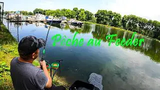 Pêche au feeder : asticots VS baby corn !