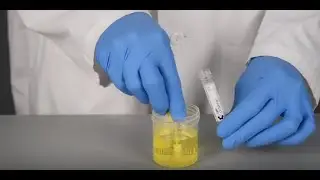 How to Use COPAN's UriSponge&trade; for Urine Specimen Collection