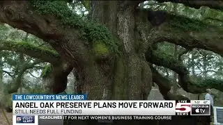 VIDEO: Plans for Angel Oak Preserve move forward, funding obstacles still ahead