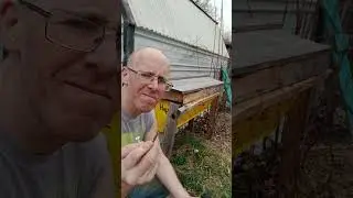 BEEHIVE SHENANIGANS!!!(join up as I make structural modifications to the wifeys hand made hive....)