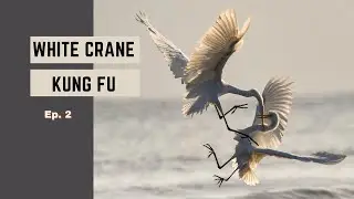 White Crane Style Kung Fu |  Ep. 2  |  Basic Kicking for Dynamic Stretch