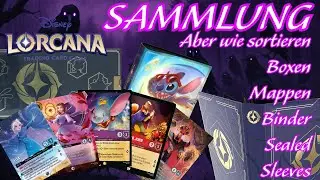 ENCHANTED Sammlung !! | Neulinge und Sammler AUFGEPASST! | Disney Lorcana Sortierung u. Aufbewahrung